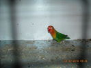 DSCN0101
