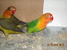 DSCN0102
