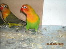 DSCN0103