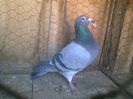 Imag 012520