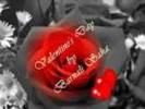 imagesCABEQ4QK