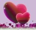 imagesCA6Q2CED