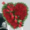 imagesCAK76UYA