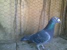 Imag 012649
