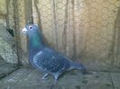 Imag 012653