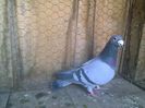 Imag 012675