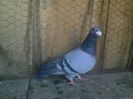 Imag 012682