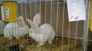 IMG_20150116_131833532