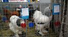 IMG_20150116_134206047