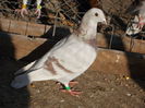 Picture 017