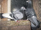DSCF0688