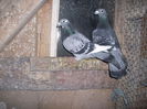 DSCF0689