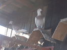 Picture 046