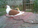 98684220_JIZYEDE