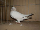 DSCN9069