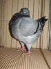 DSCN9128