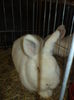DSC04001