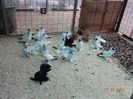 DSC02900