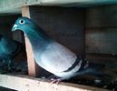 IMG_20150117_135405