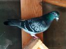 IMG_20150117_135951