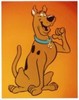 scooby-doo (95)