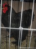 DSCN0058
