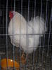 DSCN0071