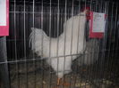 DSCN0072