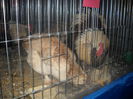 DSCN0073