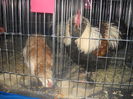 DSCN0074