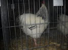 DSCN0075