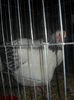 DSCN0076