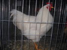 DSCN0081