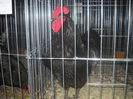 DSCN0083