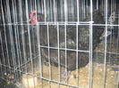 DSCN0084