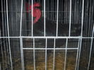 DSCN0087