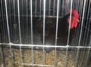DSCN0089