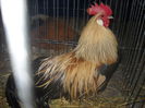 DSCN0091