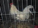DSCN0093