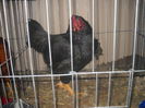 DSCN0096