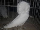 DSCN0023