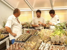 DSC01480