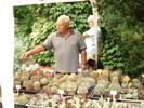 Kovacs Zoltan