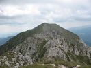 piscu baciului