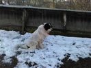 IMG_20150117_152705