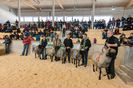 La concurs-32