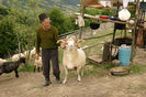 O stana din Botiza Maramures