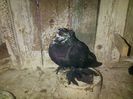 IMG-20141026-01121