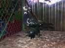 IMG-20140923-00905