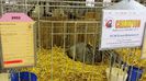 20150117_144745